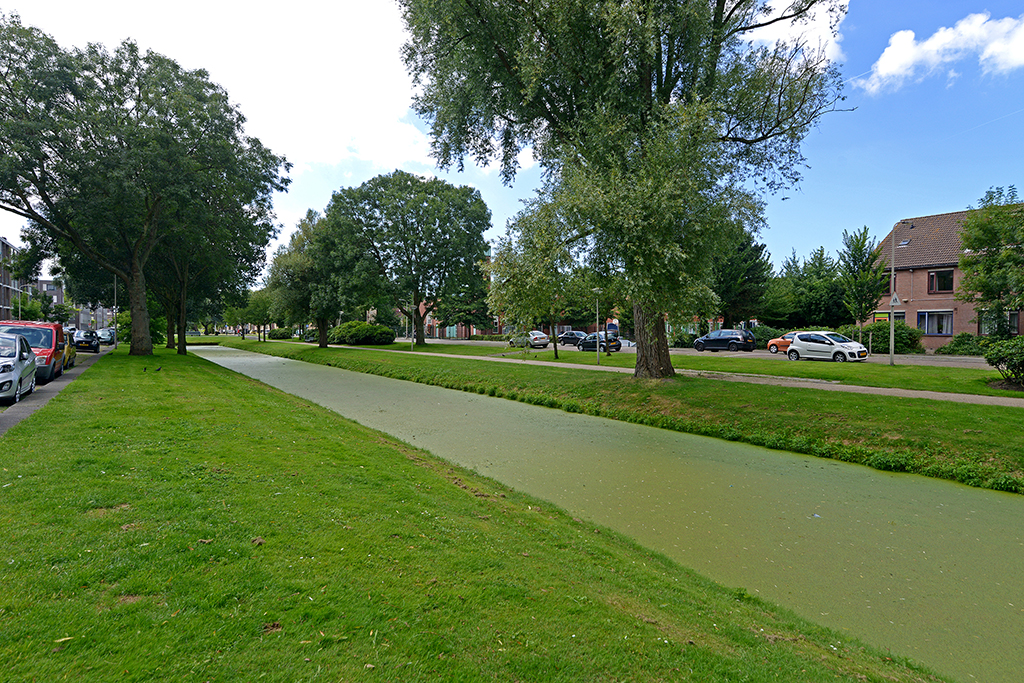 Beresteinlaan 769