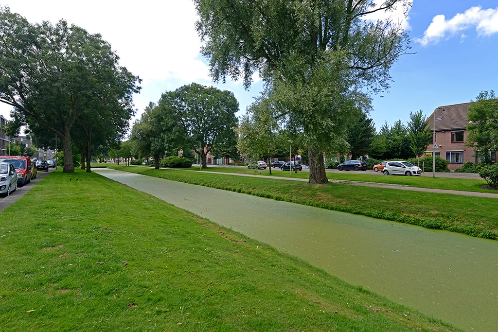 Woonstede 78