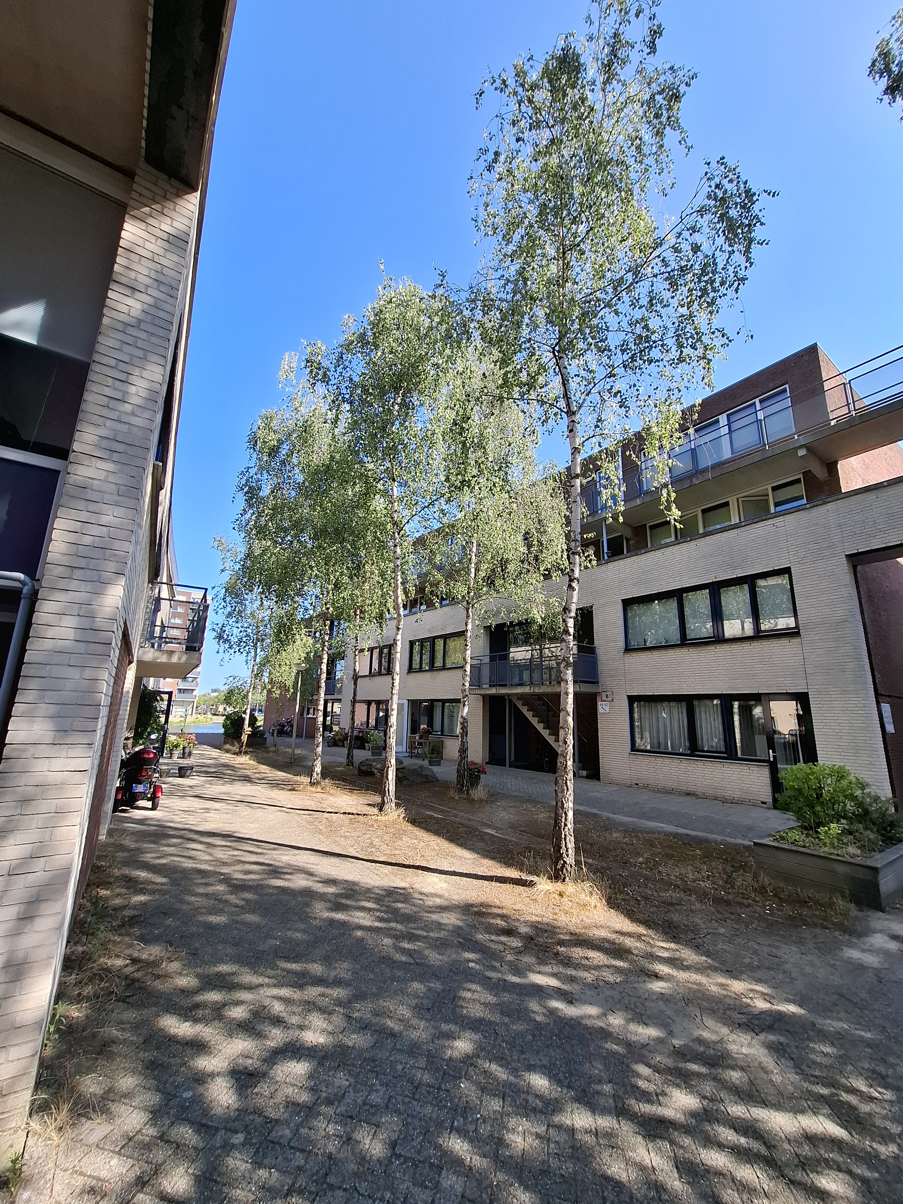Hof van Spiegeling 34