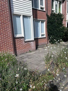 Van Sillevoldtstraat 14