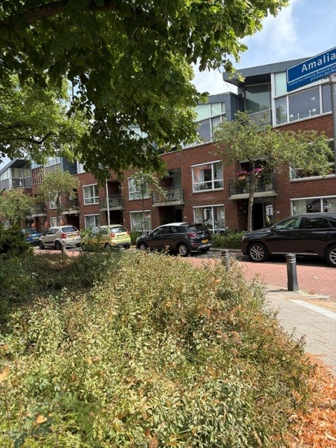 Amaliaplein 32
