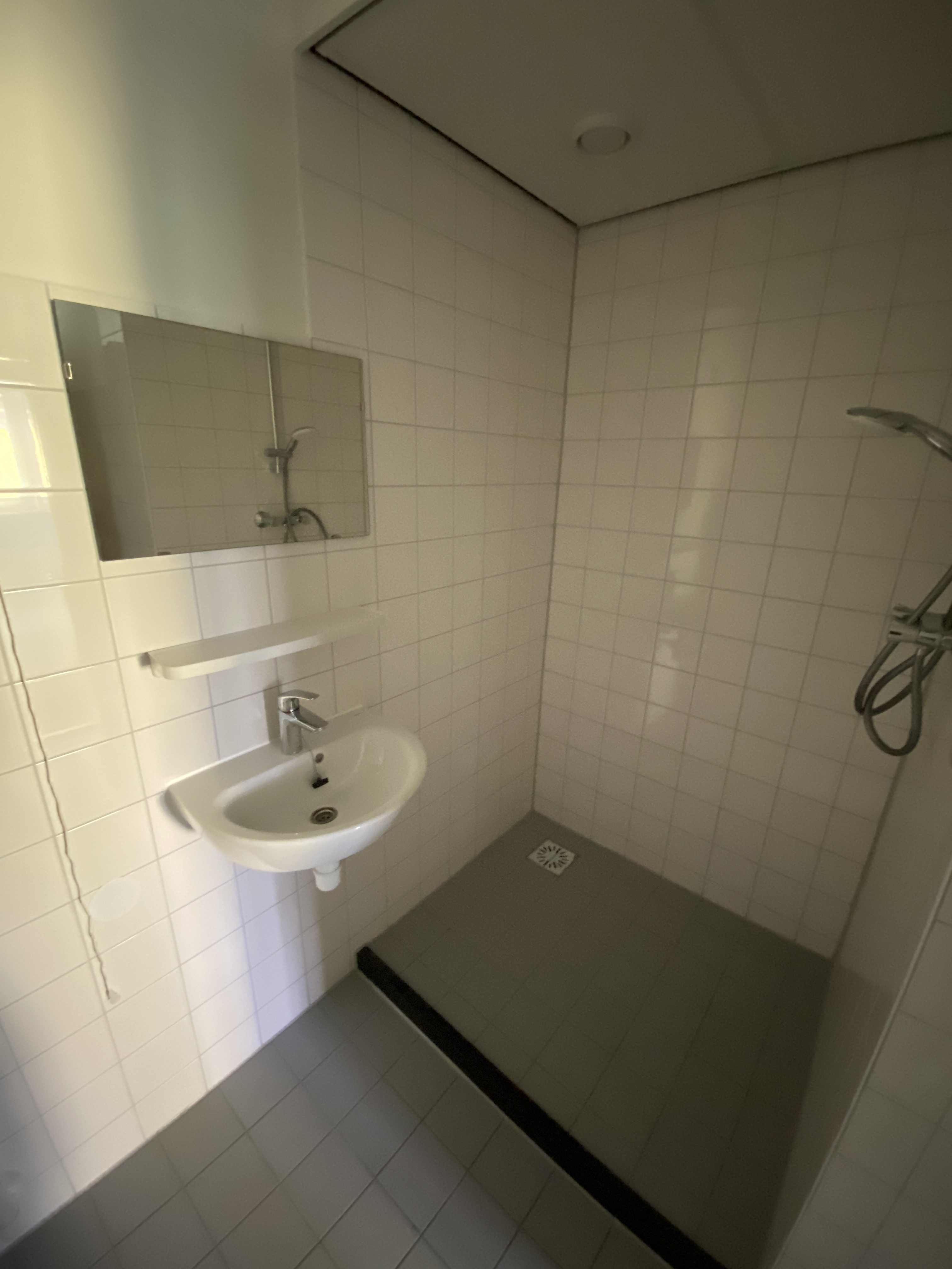 Diamanthorst 245