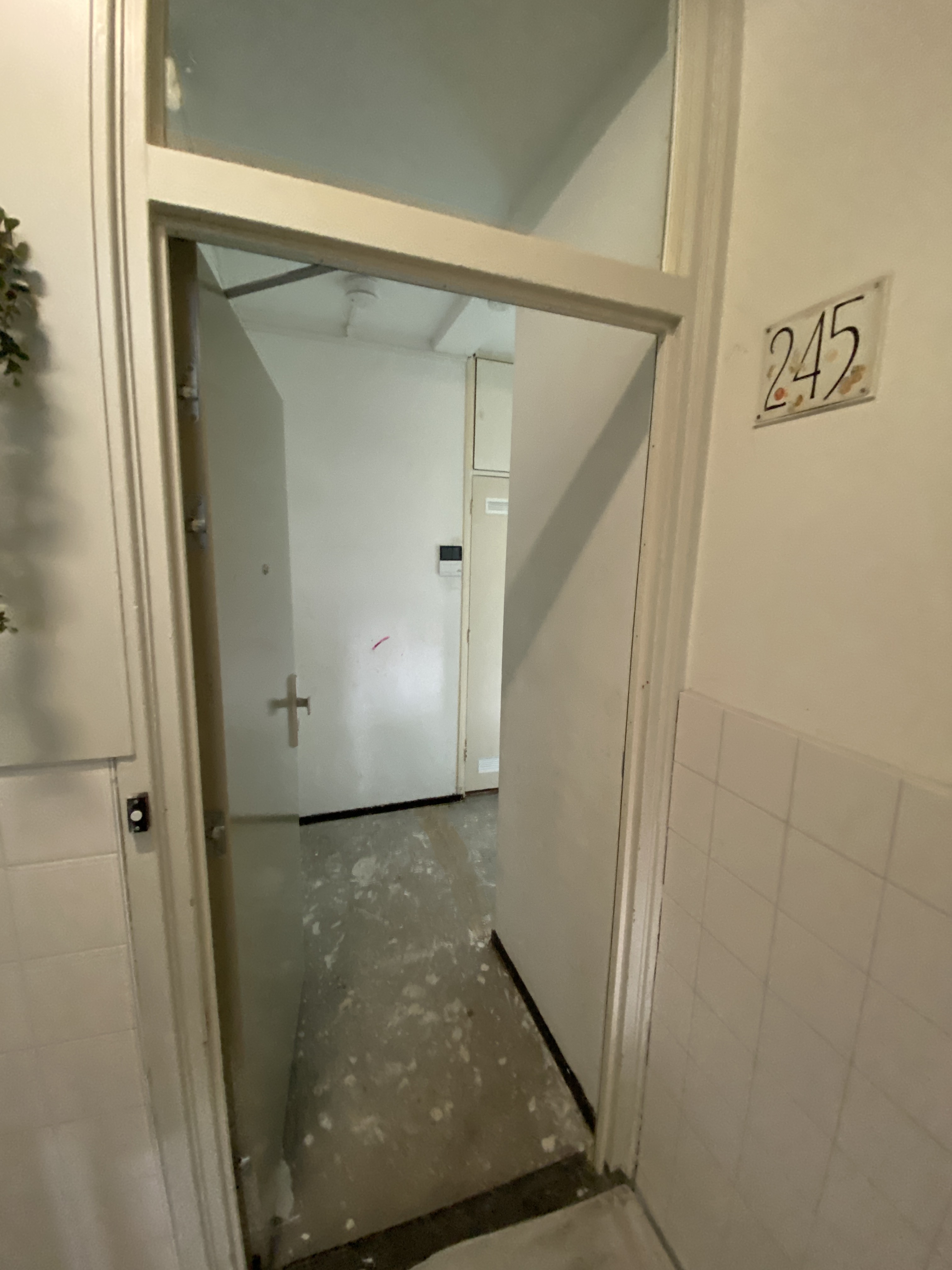 Diamanthorst 245