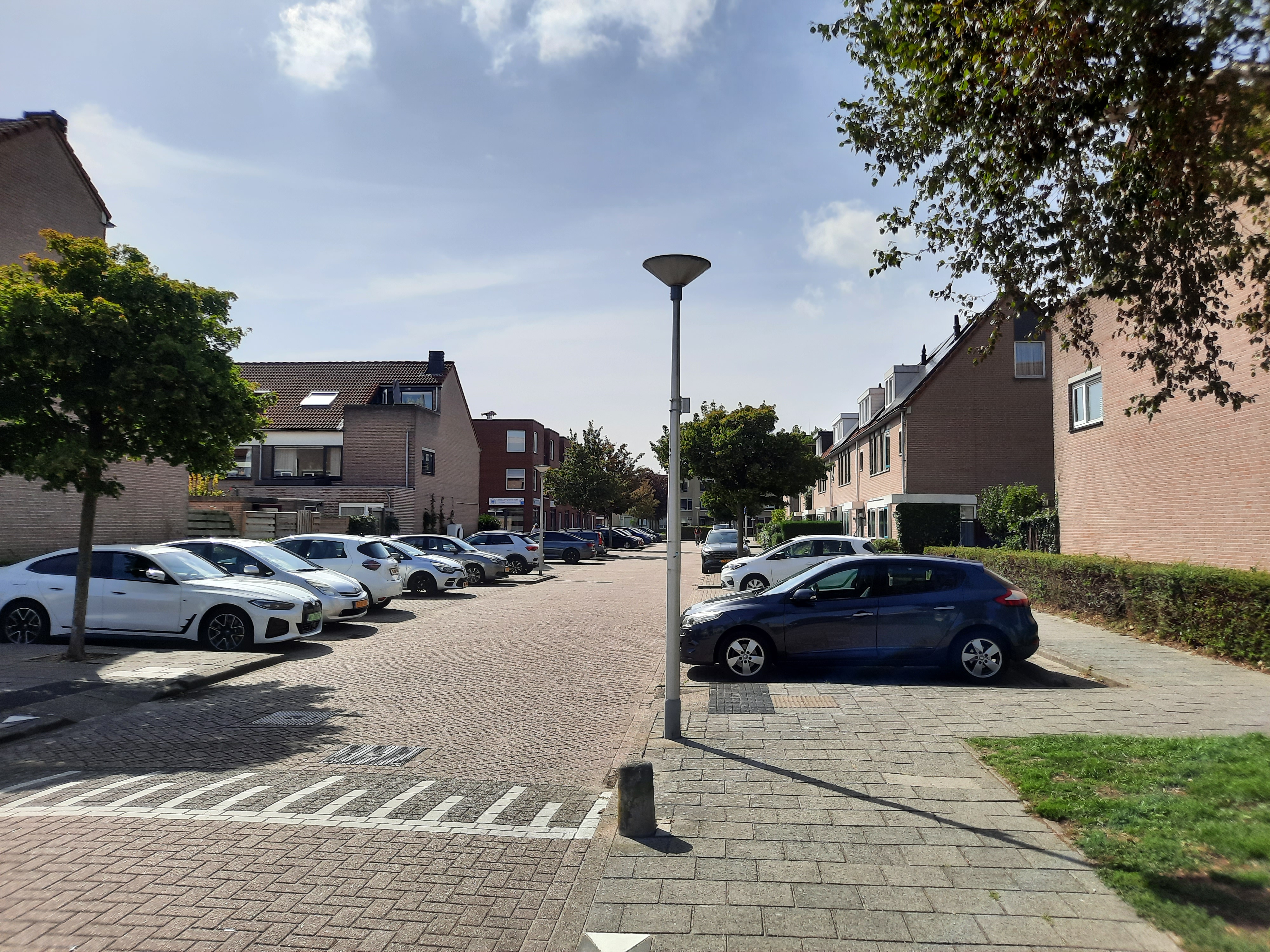 Kaasjeskruid 5