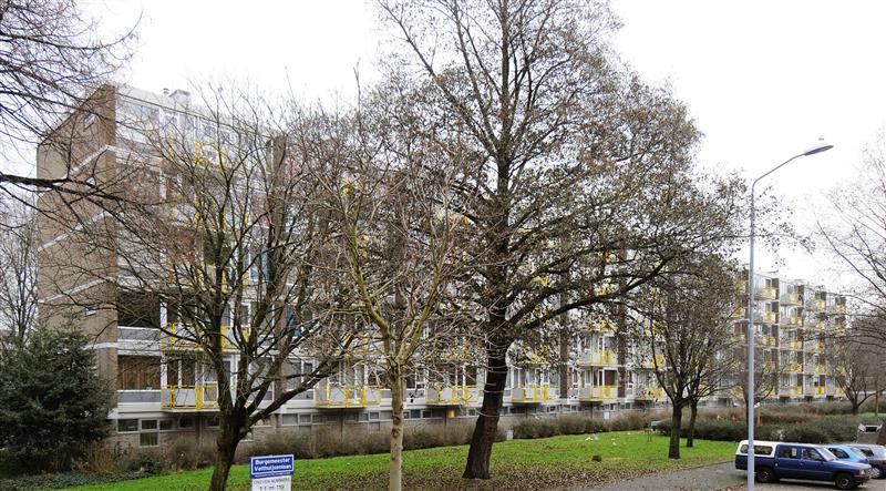 Burgemeester Velthuijsenlaan 29, 2262 VA Leidschendam, Nederland