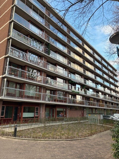 Zagwijnpad 128