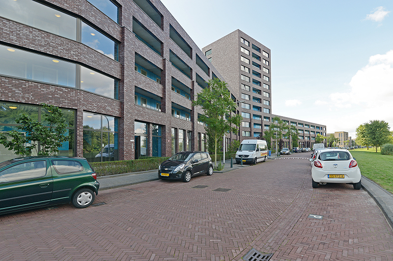 Knobbelzwaansingel 117