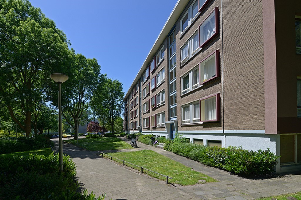 Catharinaland 206