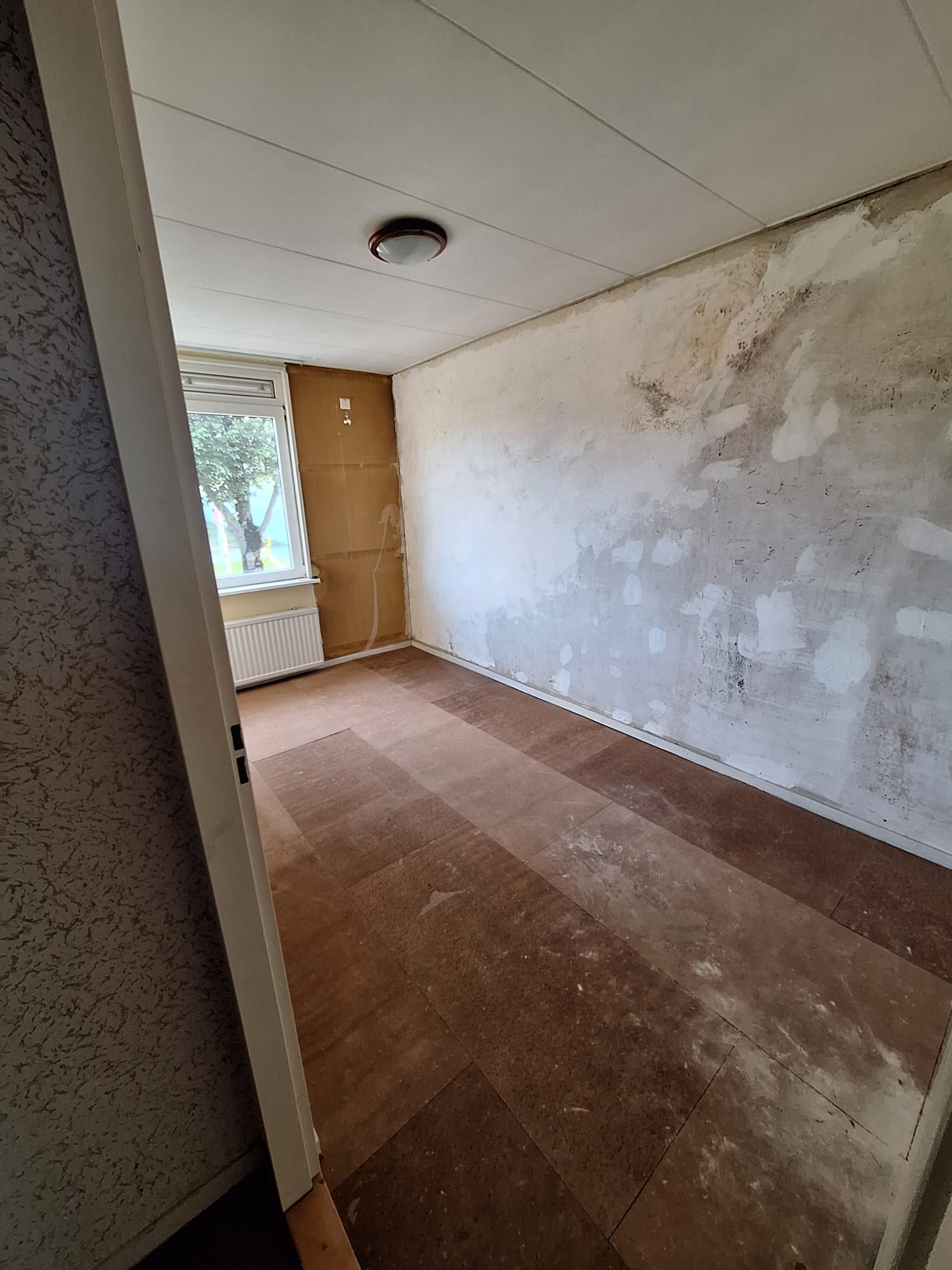 2e van Reenenstraat 5