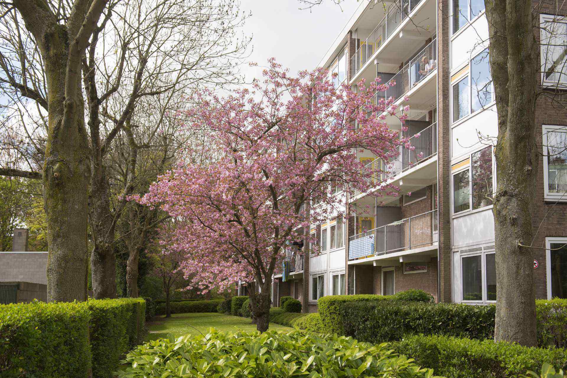 Linnenweverstraat 11